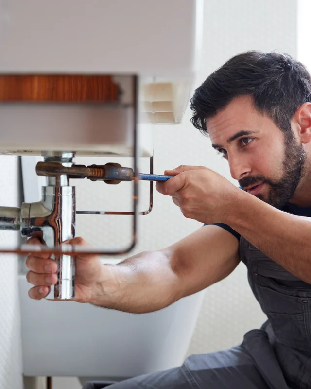 Interface Lio pour Artisans